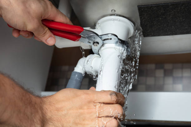 Best Mold removal after water damage  in East Porterville, CA