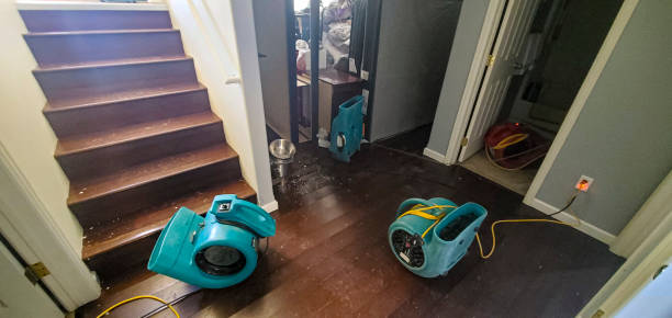 Best Water damage restoration mold remediation  in East Porterville, CA