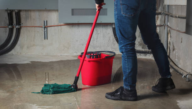 Best Water damage restoration near me  in East Porterville, CA