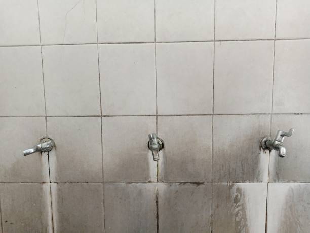 Best Water damage restoration near me  in East Porterville, CA