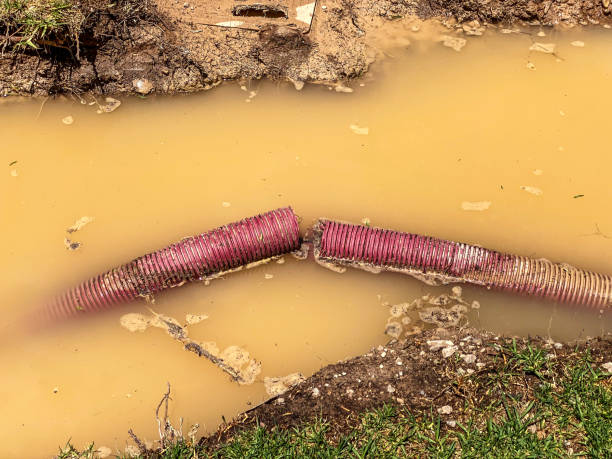Best Water damage restoration company  in East Porterville, CA